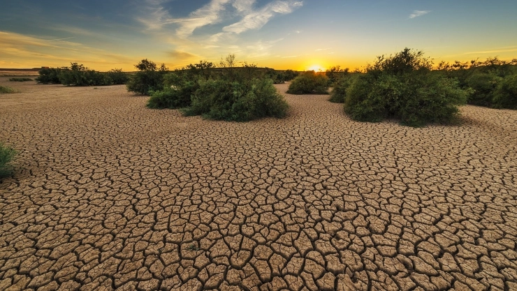 Ola de calor extremo Mexico, lista de estados afectados
