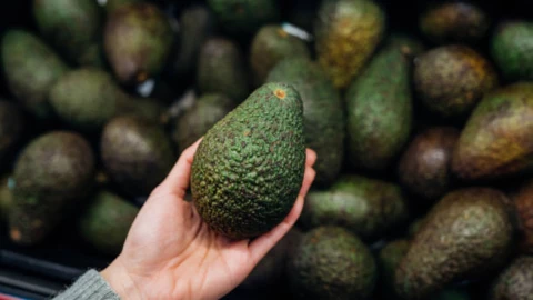 Precio del aguacate en Michoacán hoy martes 11 de noviembre de 2025.png