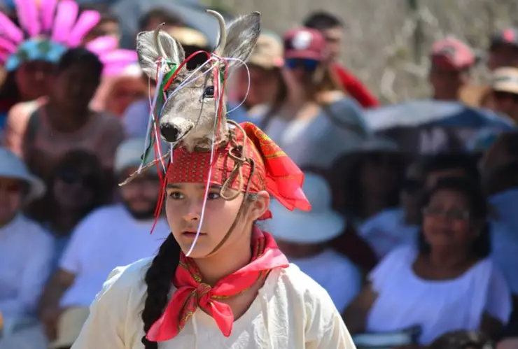 equinoccio primavera 2024 cuándo y a qué hora es mejores rituales