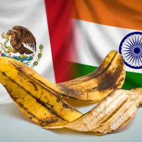 Mientras en México tiramos la cáscara del plátano después de comerlo, en India la aprovechan para preparar curris