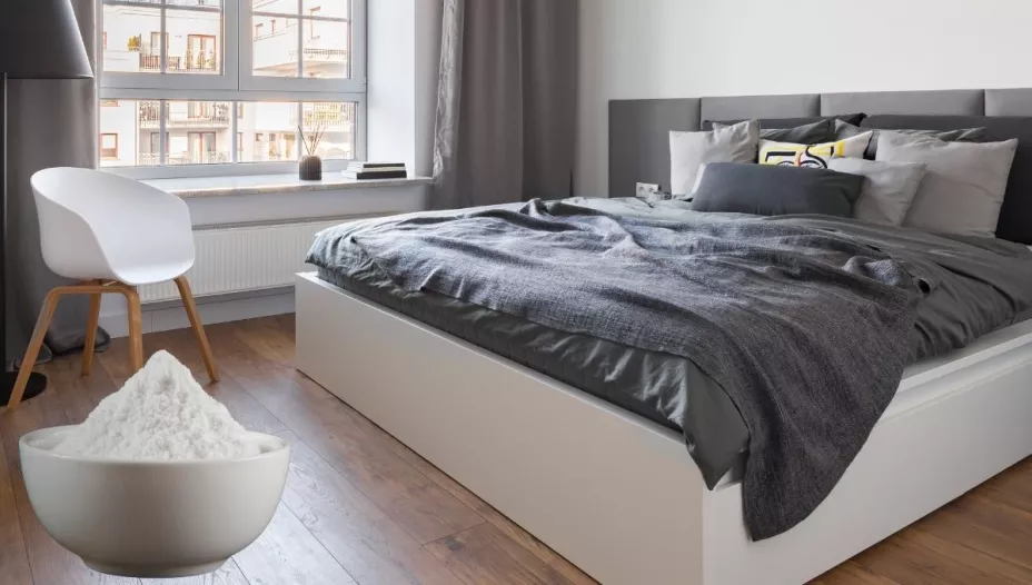 El truco casero que elimina la humedad y mejora la respiración en tu habitación.jpg