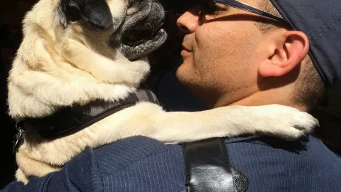Perrito pug, maniquí, dueño b.jpg