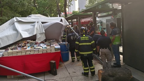 Árbol aplasta puestos de libros y afecta también al Metrobús CDMX
