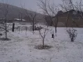 La nieve comienza a cubrir, carreteras, patios y jardines en Chihuahua.