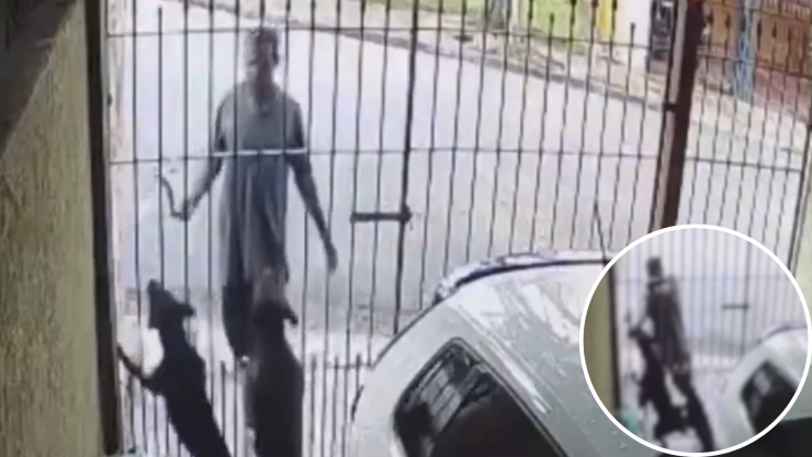 LADRÓN PERROS BRASIL.png