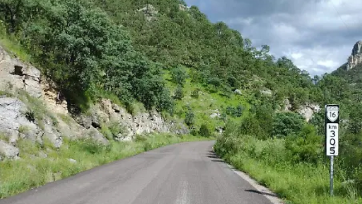 hallados sin vida Guadalupe y Calvo