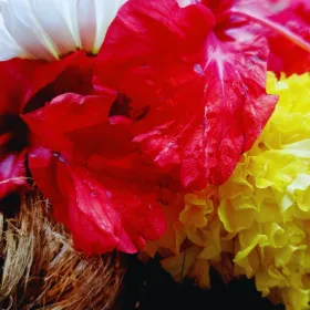 Qué flores puedes combinar con el cempasúchil para decorar una ofrenda