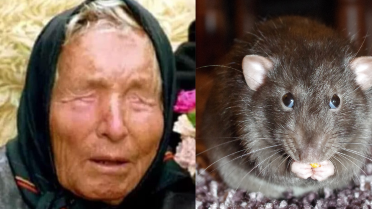 ¿Baba Vanga predijo la emergencia sanitaria por el hantavirus
