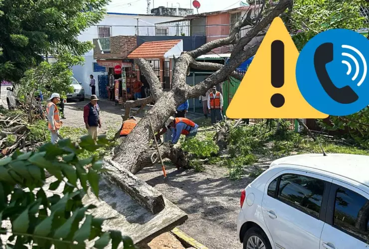 Frente Frio 8 Veracruz.