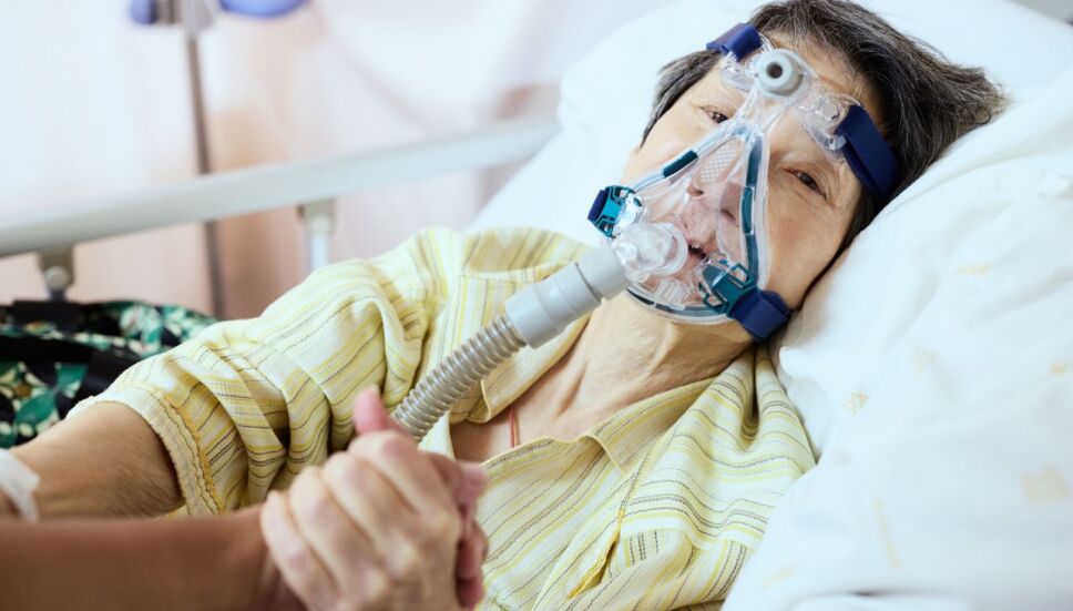 ¿Qué se sabe de los casos de la bacteria estreptococo en Japón?