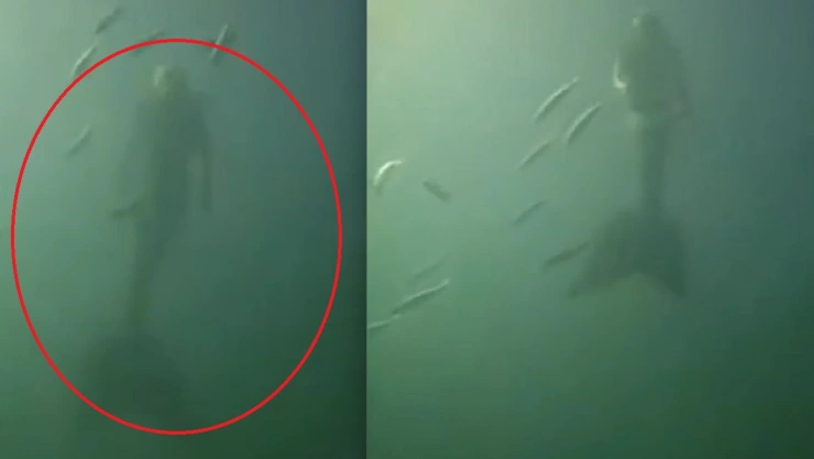 sirena captada en el océano pacífico video