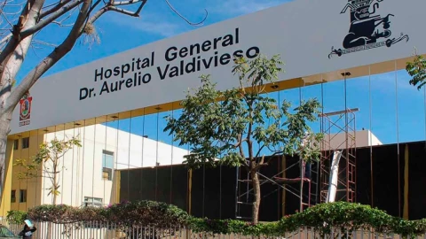 oaxaca rabia humana menor de 8 años fallece