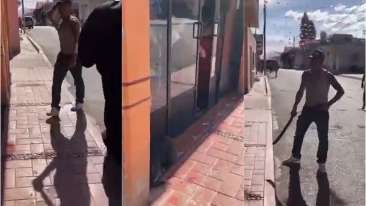 Hombre agrede con machete a perrita en Hidalgo