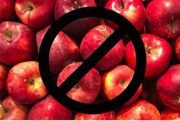 ATENCIÓN Estos alimentos NO puedes llevar contigo a Estados Unidos