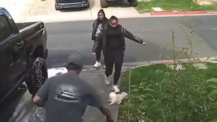 Mujer patea perrita Gigi