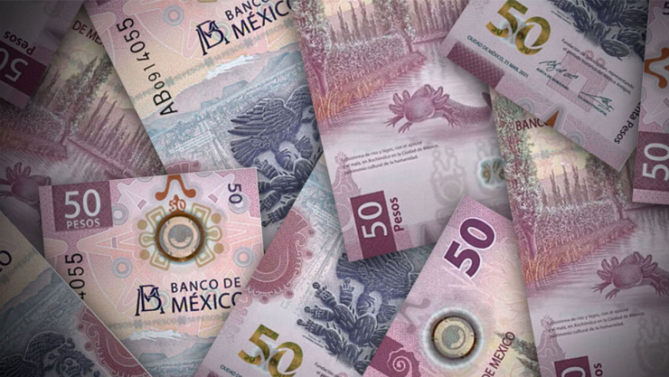 Billetes de ajolote