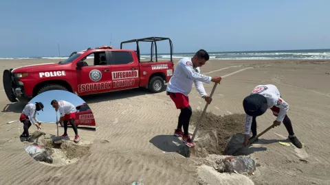Animales muertos en la Isla de la Piedra, en Mazatlán.jpg