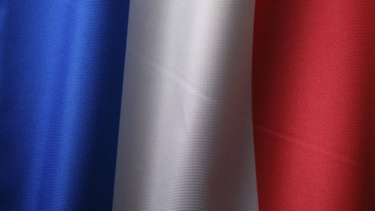 gallo francia.png