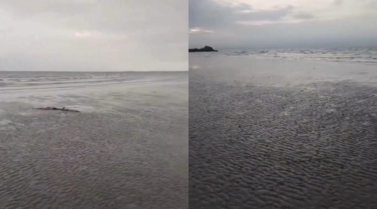 ¿Desapareció el mar? Esta es la explicación científica del alejamiento de la costa en Veracruz
