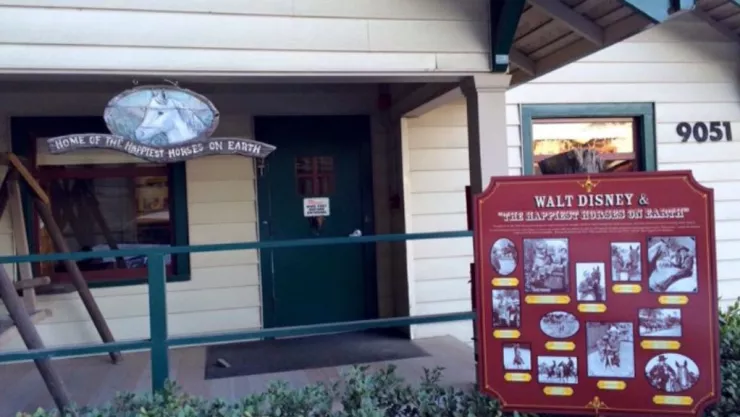 Matrimonio que vivió en Disney