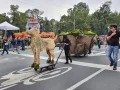 2 mil 500 artistas en acción, 11 carros alegóricos, 22 comparsas y diversos grupos de coreografías llenaron de alegría el corazón de la CDMX.