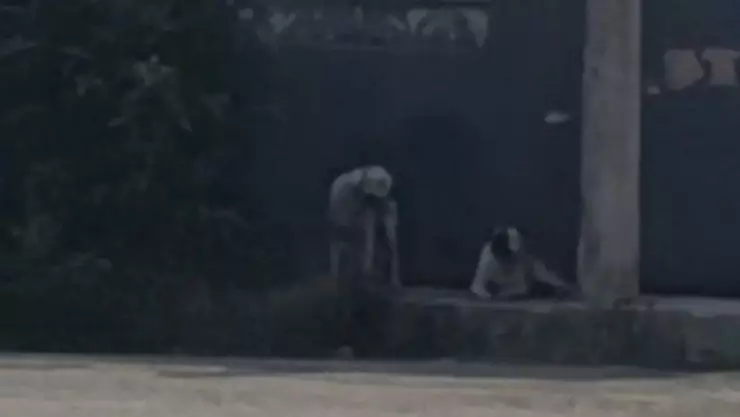 ¿Cuándo juega el América vs León_ fecha, horario y lugar donde se jugará el partido