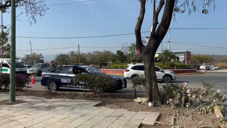 La Pochota