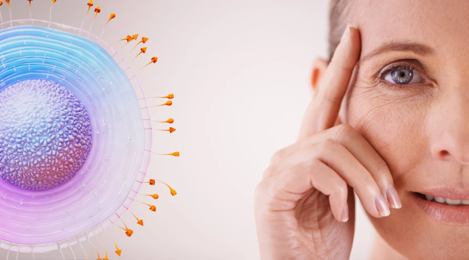 GSK_ herpes zoster.png