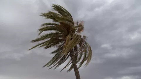 rachas de viento acapulco