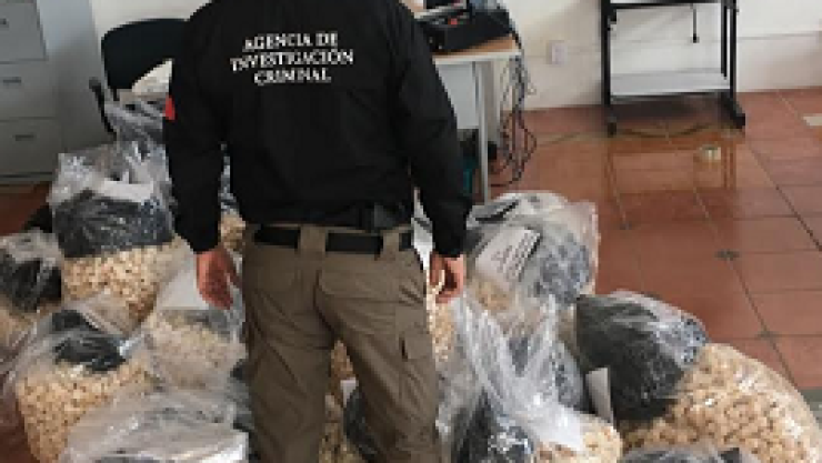 Decomisan 35 mil huevos de tortuga en Oaxaca