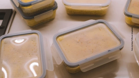 &iquest;C&oacute;mo quitarle el mal olor a los tuppers?