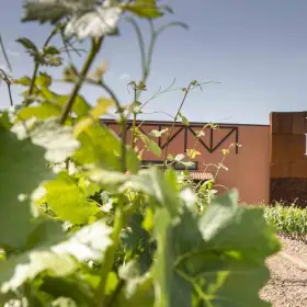 Copia de BODEGAS_EMILIO_MORO9-1(1).jpg