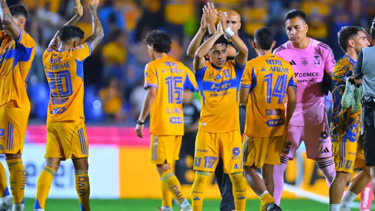 Diego Sánchez Chicha
