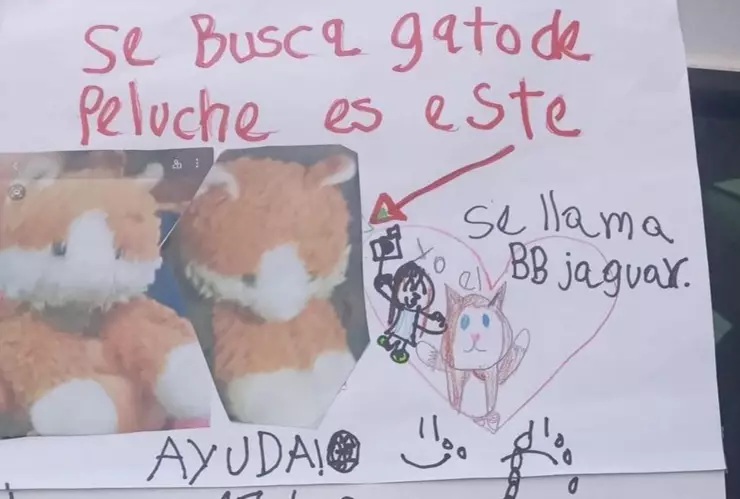 gato-peluche-20-pesos-niña (1).jpg