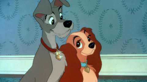 Dama y el Vagabundo Kidsiete