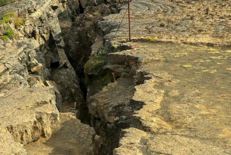 Sismo en México EN VIVO Se registra temblor este 31 de enero de 2025 en territorio nacional