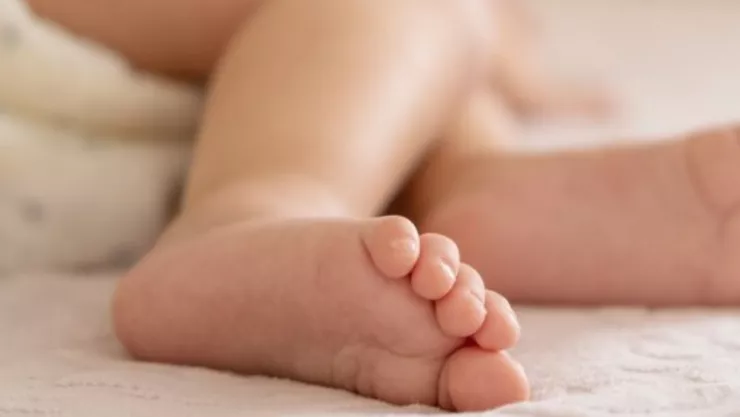 Alimentos de la canasta básica en México con plomo en 2025