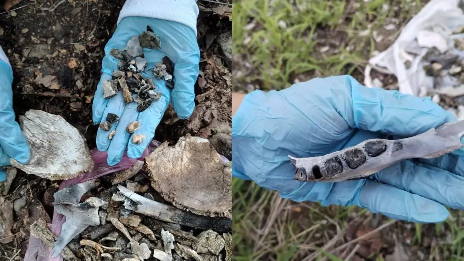 Colectivos-reportan-crematorio-clandestino-en-Ahualulco-de-Mercado-Jalisco