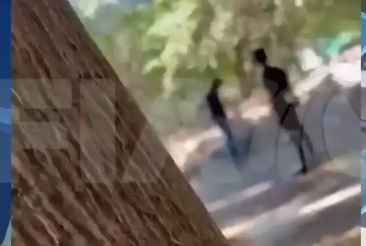 acoso-escolar-cobach-chiapas-video