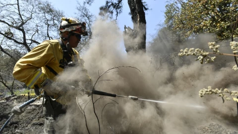 incendio-en-bosque-la-primavera-jalisco-hay-contingencia-ambiental
