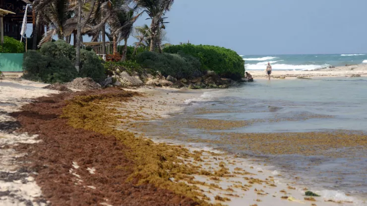 Mexico Ease Some Restrictions Amid Coronavirus Pandemic