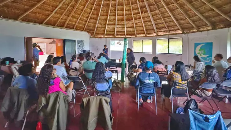 Este 2024 fueron liberadas más de 2 mil crías de tortuga marina en Cozumel (1).jpg