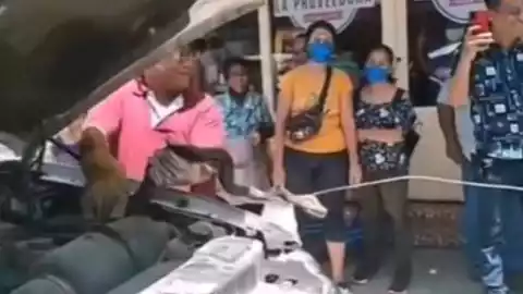 VIDEO Rescatan serpiente de casi dos metros en camioneta de Oaxaca