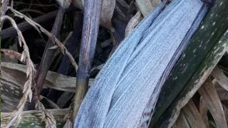 Helada en municipios de Veracruz