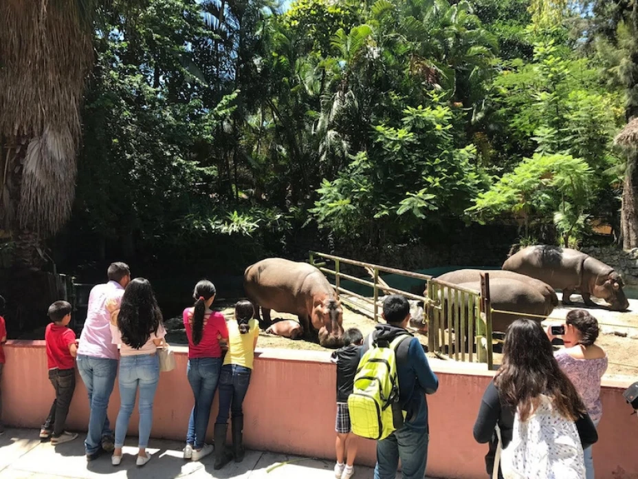 Zoológicos CDMX