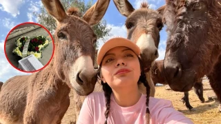 La activista de Seres Libres recibió una amenaza de muerta hacia su hija en Edomex.