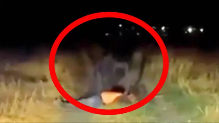 Captan extraña criatura en carretera México: VIDEO