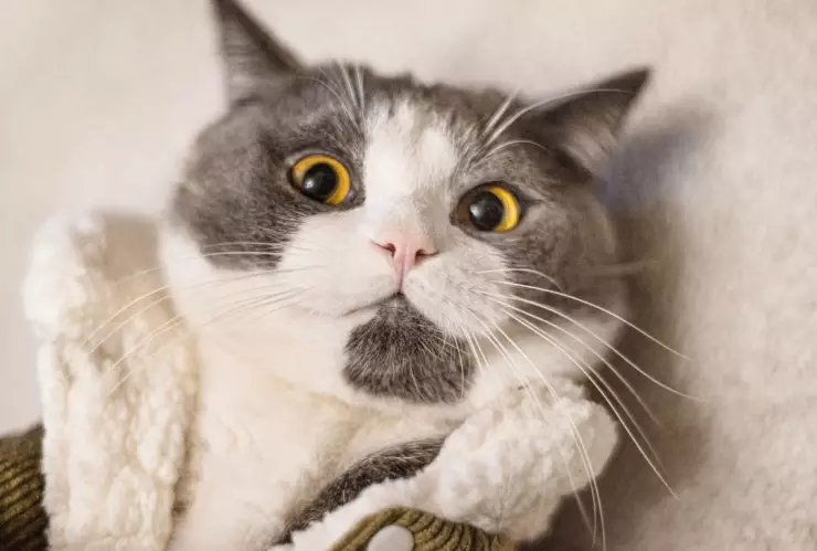 Alerta roja por frio en CDMX