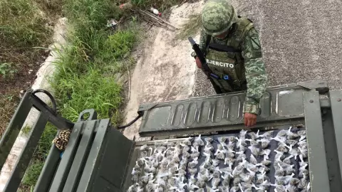 Aseguran envoltorios de marihuana en filtro de seguridad en Yucatán