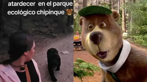 ¡Cuidado con Yogi! Oso negro persigue a una mujer mientras paseaba en el parque